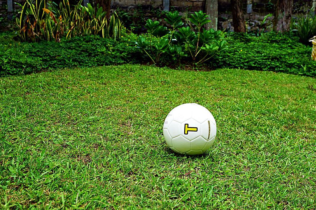 Alam Cipanas * Puncak